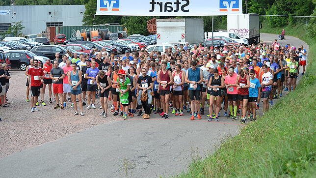 Das größtes Starterfeld: 295 Läufer gingen beim Hauptlauf des Wehratallaufs an den Start.