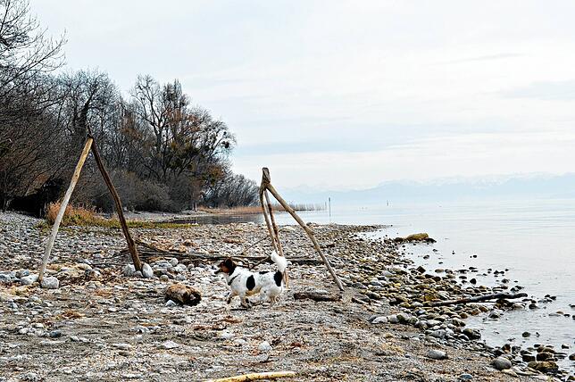 Bild 8: Durchatmen und Ruhe tanken: Wo es sich bei einem Spaziergang in und um Friedrichshafen gut innehalten lässt