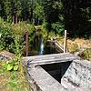 Der Oberwasserkanal an der Schwarzen Säge soll renaturiert werden. Die Bauarbeiten sollen nächste Woche erfolgen &ndash; trotz hängiger ...