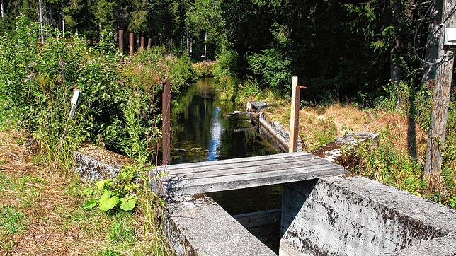 Der Oberwasserkanal an der Schwarzen Säge soll renaturiert werden. Die Bauarbeiten sollen nächste Woche erfolgen &ndash; trotz hängiger ...