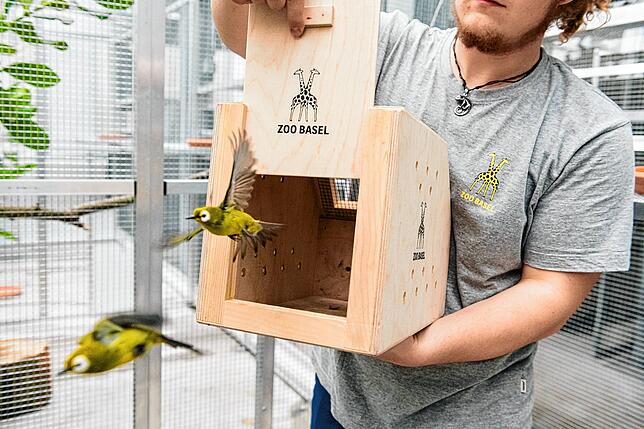 Bild 10: Ein Elefantenbulle auf dem Tieflader und ein Okapi in der Box: So sieht es aus, wenn Zootiere auf Reisen gehen