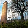 Der hölzerne Penis auf einer Anhöhe bei Ravensburg-Taldorf sorgte für Rätselraten. Welcher Künstler das Phallussymbol erschaffen hat, ...