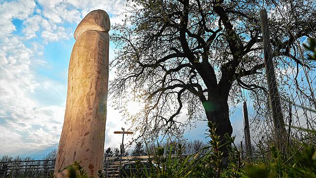 Der hölzerne Penis auf einer Anhöhe bei Ravensburg-Taldorf sorgte für Rätselraten. Welcher Künstler das Phallussymbol erschaffen hat, ...