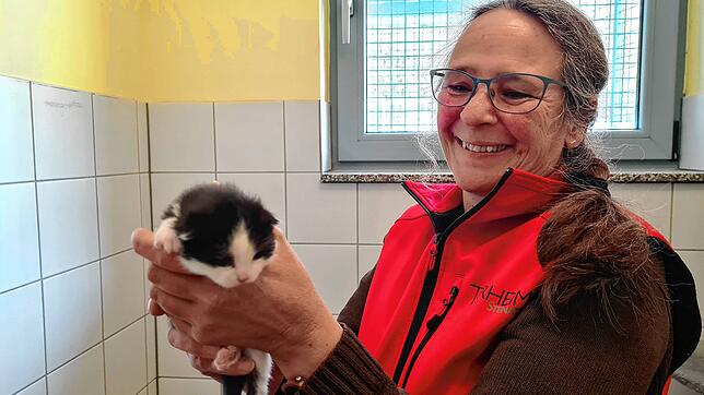 Anja Fuchs leitet das Tierheim Steinatal in Detzeln.