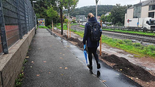 Radfahrer sind beim aktuellen Herbstwetter selten auf dem Seltenbachweg anzutreffen. Diese Fußgängerin hat den verbreiterten Weg für ...
