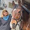 Obwohl es in der Umgebung vereinzelte Druse-Fälle gab, blieb der Stall im Sickenbühl vollständig frei von Infektionen. Pferd Salute ist ...