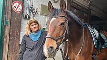 Obwohl es in der Umgebung vereinzelte Druse-Fälle gab, blieb der Stall im Sickenbühl vollständig frei von Infektionen. Pferd Salute ist ...