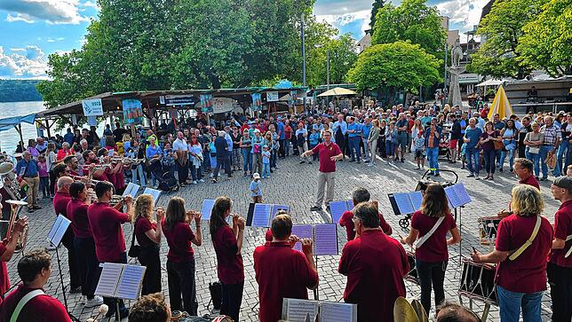 Bild 3: Bilder vom Überlinger Promenadenfest