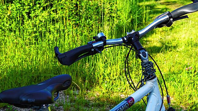 Ob Fahrradfahren, Wandern oder Schwimmen: Regelmäßige Bewegung kann einer Demenz-Erkrankung vorbeugen. Denn was den Blutgefäßen gut tut, ...