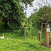 Entlang des Naturpfads am Lindenhain gibt es nicht nur allerlei Wissenswertes über die dort lebenden Tiere zu erfahren, sondern auch ...