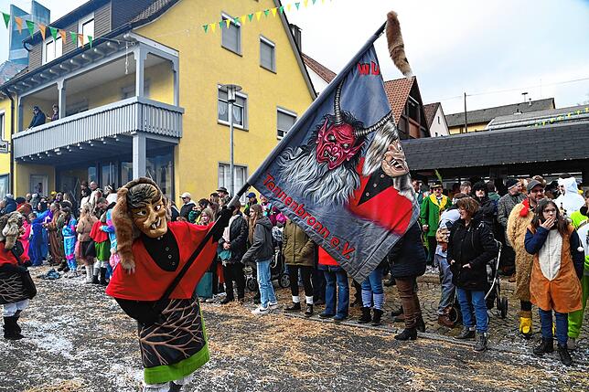 Bild 26: Großer Umzug in Tennenbronn mit 20 Musik- und Narrengruppen