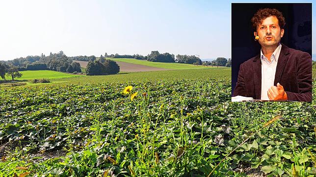 Hier soll Konstanz wachsen und endlich bezahlbaren Wohnraum für die Bürger bieten: Am Hafner am Rande des Stadtteils Wollmatingen soll ...