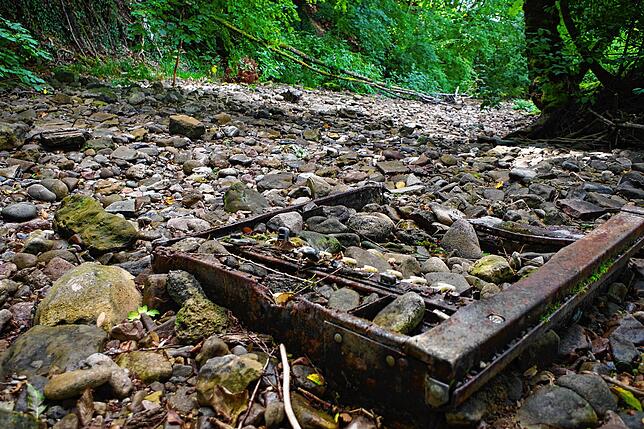 Verrostete Gegenstände aus Metall haben die Müllsammler im ausgetrockneten Flussbett der Steina gefunden.