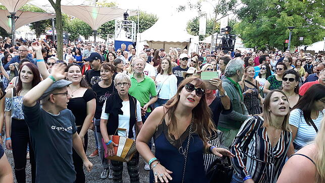 Bild 5: Das Seenachtfest 2019: Die schönsten Bilder aus dem Stadtgarten und vom Hafen