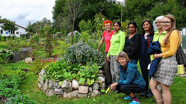 Der Gemeinschaftsgarten in der Nordstadt: Organisatoren und Besucher loben das Projekt des Freundeskreises Asyl. (Archivbild)