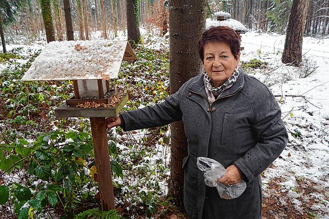 Auf dem Weg zum Krippele im Wald bestückt Irmgard Schmid-Lofi noch ein Vogelhäuschen. Bild: Nikolaj Schutzbach