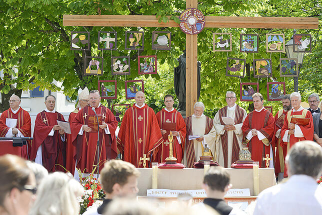Bild 14: Bilder vom Radolfzeller Hausherrenfest (1)