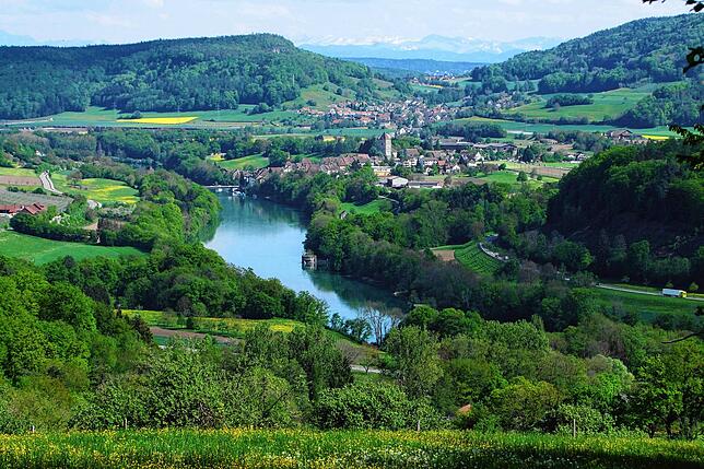 Jede Menge Landschaft: Einen herrlichen Ausblick auf den Rhein und das benachbarte Kaiserstuhl bietet sich dem Wanderer vom Lienheimer ...