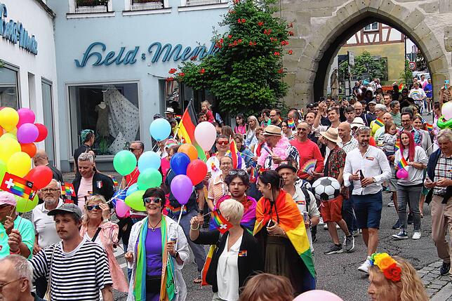 Bild 7: Der Überlinger CSD in Bildern, und dazwischen eine kleine Gruppe AfD
