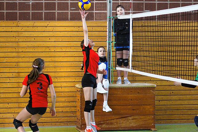 Bild 18: U14-Volleyballerinnen qualifizieren sich für baden-württembergische Meisterschaften