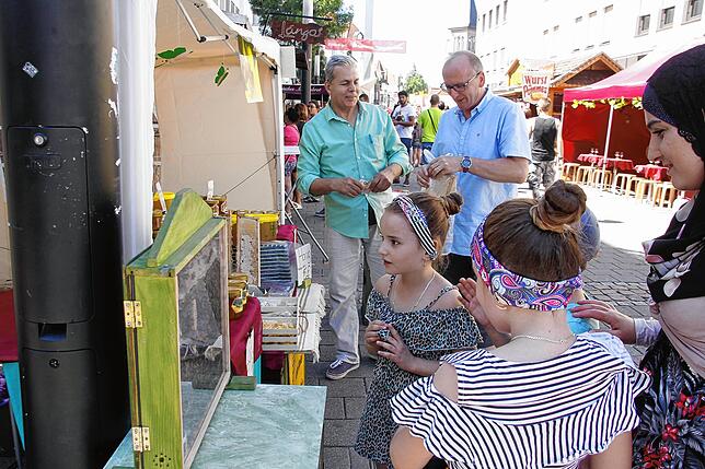 Bild 9: Bilder vom Stadtfest in Singen (1)