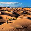 Faszinierende Dünenlandschaft in der Wüste Gobi: Mit dem Fatbike konnte Thomas Schenker diese Landschaft entlang der Seidenstraße ...