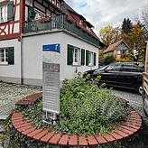 An diesem Platz soll wieder ein Baum gepflanzt werden. Im Gespräch ist eine Linde oder eine Zerreiche.