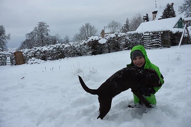 Schnee kann auch Spaß machen. Cedric, sechs Jahre, balgt mit dem neuen Familienhund Mara zum ersten Mal darin.