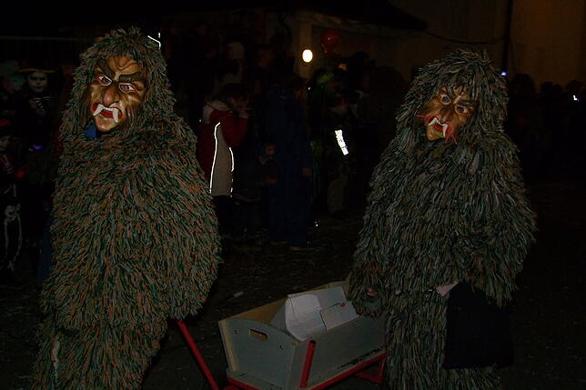 Bild 11: Bilder vom Klettgaunarrentreffen der Narrenzunft Bohnenviertel in Hohentengen a.H. am Samstag, 8. Februar