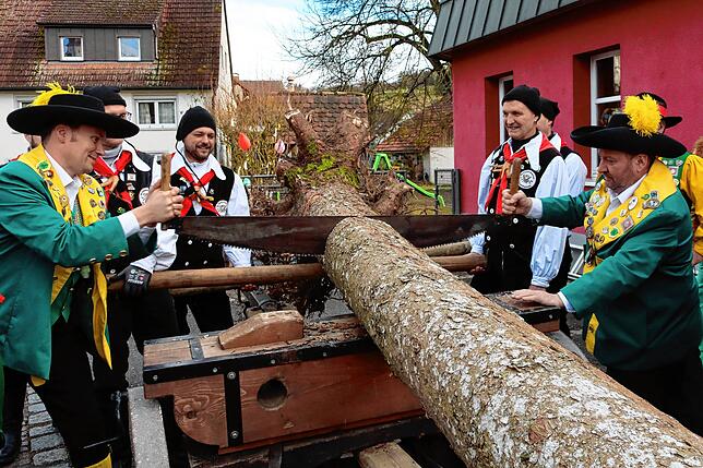 Die Stumpenmacher graben den künftigen Narrenbaum mit Stumpen (Wurzelwerk) aus. Achim Kempter (links) und Klaus-Peter Baschnagel mussten ...