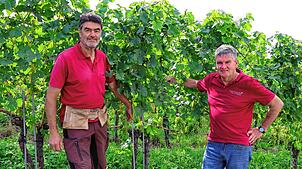 Rebmeister Hubert Gutemann (links) und Tobias Keck, Geschäftsführer des Winzervereins Hagnau, freuen sich darauf, 20 SÜDKURIER-Lesern ...