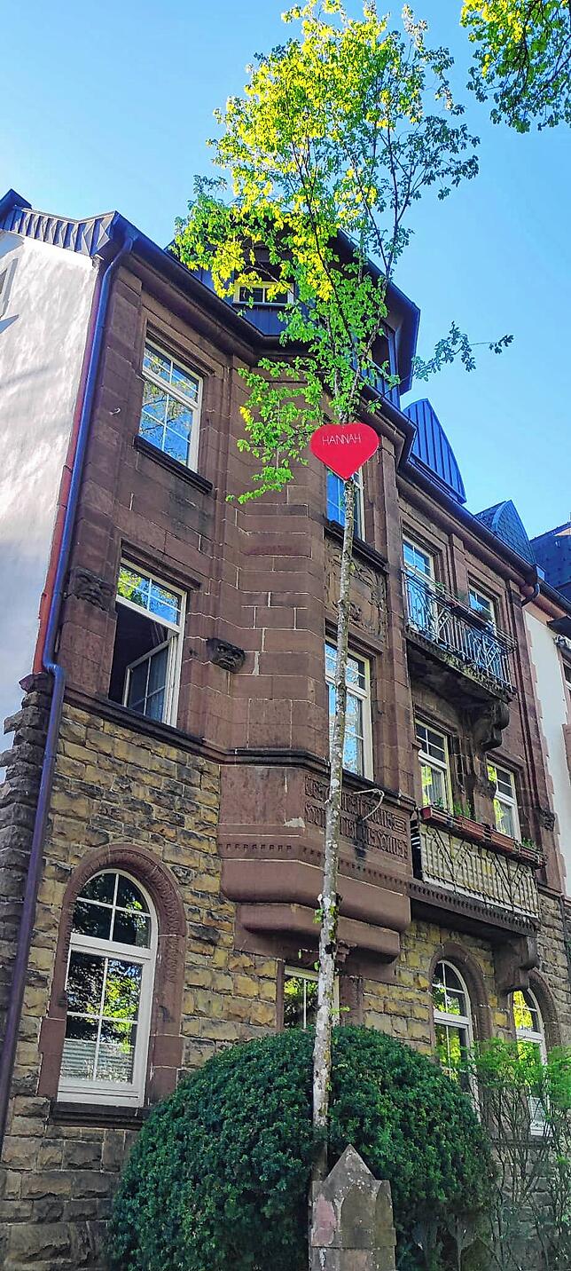 In der Nacht hatte jemand das Bäumchen vor dem Haus seiner Angebeteten aufgestellt. Bevor es umfiel, konnten die Nachbarn noch ein Foto ...
