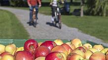Diese Tour mit dem E-Bike durch den Thurgau startet in Kreuzlingen. Vorbei an der Kapelle St. Leonhard, dem Wasserschloss Hagenwil und ...