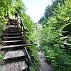 So sah der hintere Teil der Marienschlucht nach der Erich-Pohl-Kanzel (links oben außerhalb des Fotos) im Jahr 2014 aus. Über diesen ...