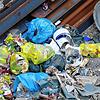 An der Bodanstraße sind derzeit sogar tagsüber Ratten zu beobachten: Sie machen sich über Abfallberge her, ein Exemplar sucht gerade den ...