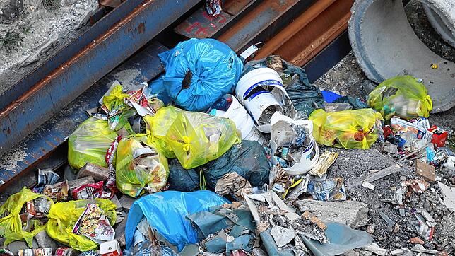 An der Bodanstraße sind derzeit sogar tagsüber Ratten zu beobachten: Sie machen sich über Abfallberge her, ein Exemplar sucht gerade den ...