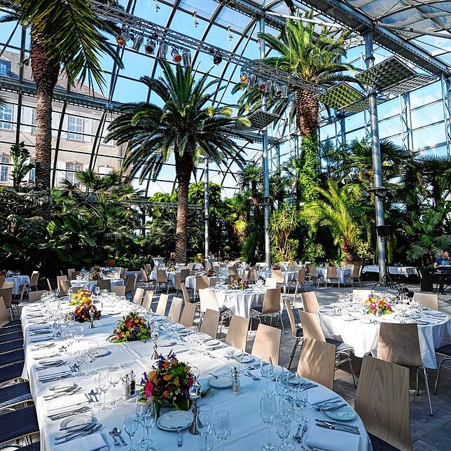 Auf der Insel Mainau ist es sogar möglich unter tropischen Pflanzen im Palmenhaus zu Abend zu essen.
