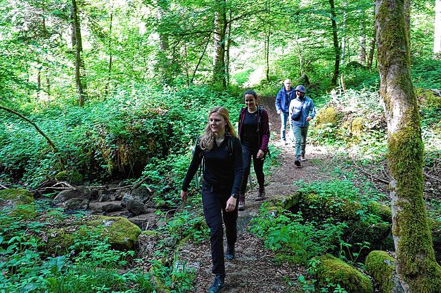 Bild 8: 180 Teilnehmer beim 42-Kilometer-Wandermarathon: Das sind die Bilder