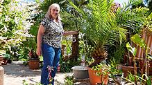 Margret Rupp in Urlaubsstimmung unter Palmen. Sie hat sich an der Raiffeisenstraße ein kleines Paradies geschaffen und öffnet es während ...