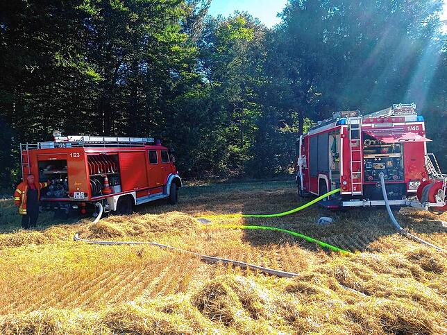 Im Einsatz waren die Feuerwehren Görwihl, Herrischried und Todtmoos