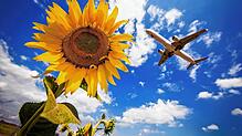 Eine Maschine der Lufthansa hebt vom Stuttgarter Flughafen über Sonnenblumen hinweg ab. Aber ist jeder Start zu nicht weit entfernten ...