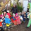 Bild :