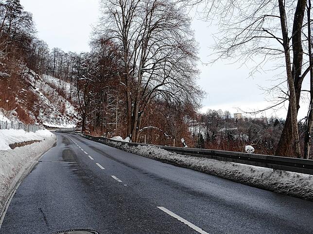 Durch kranke Bäume am Steilhang (links im Bild) war die Verkehrssicherheit der Straße von Steigen hinauf nach Heiligenberg gefährdet.
