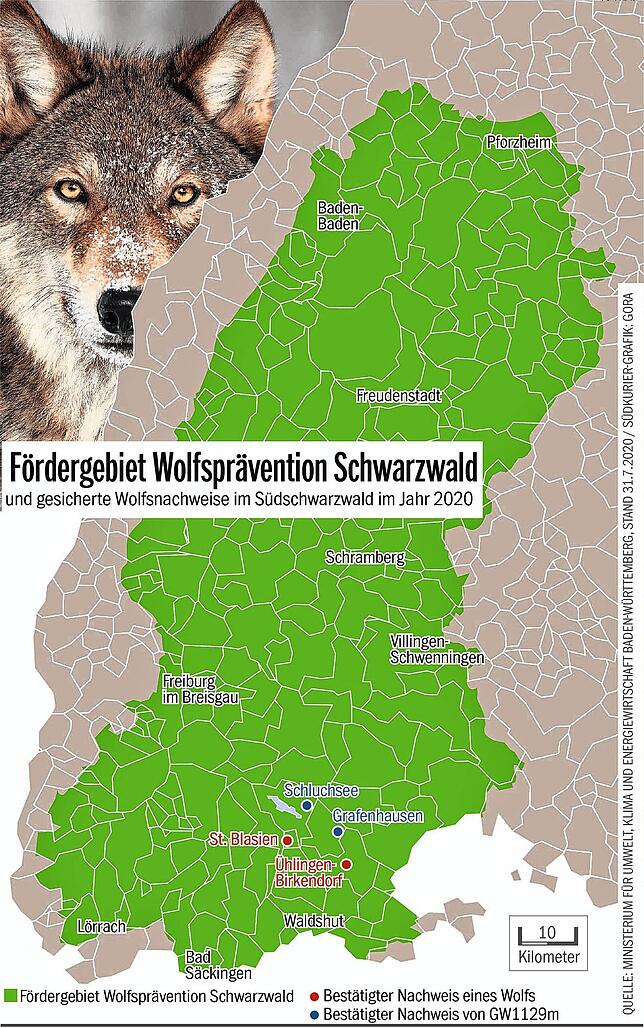 Das Fördergebiet Wolfsprävention Schwarzwald. Es wurde im Jahr 2020 offiziell ausgewiesen.