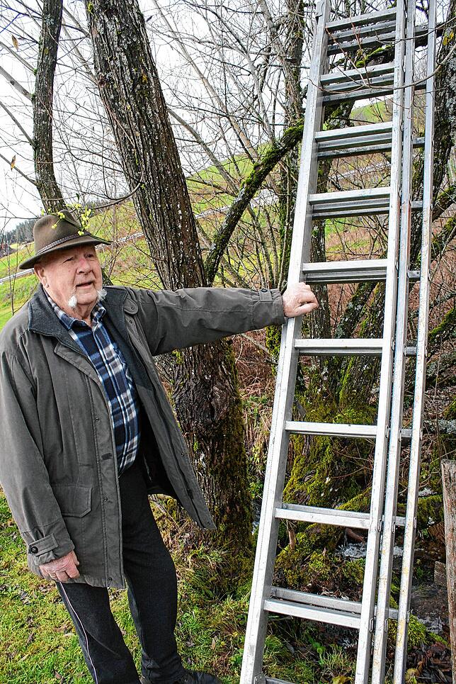 Auf dieser Stahlleiter steigt der 85-Jährige in die Höhe und schneidet die Mistelzweige – beispielsweise im Kinzigtal.