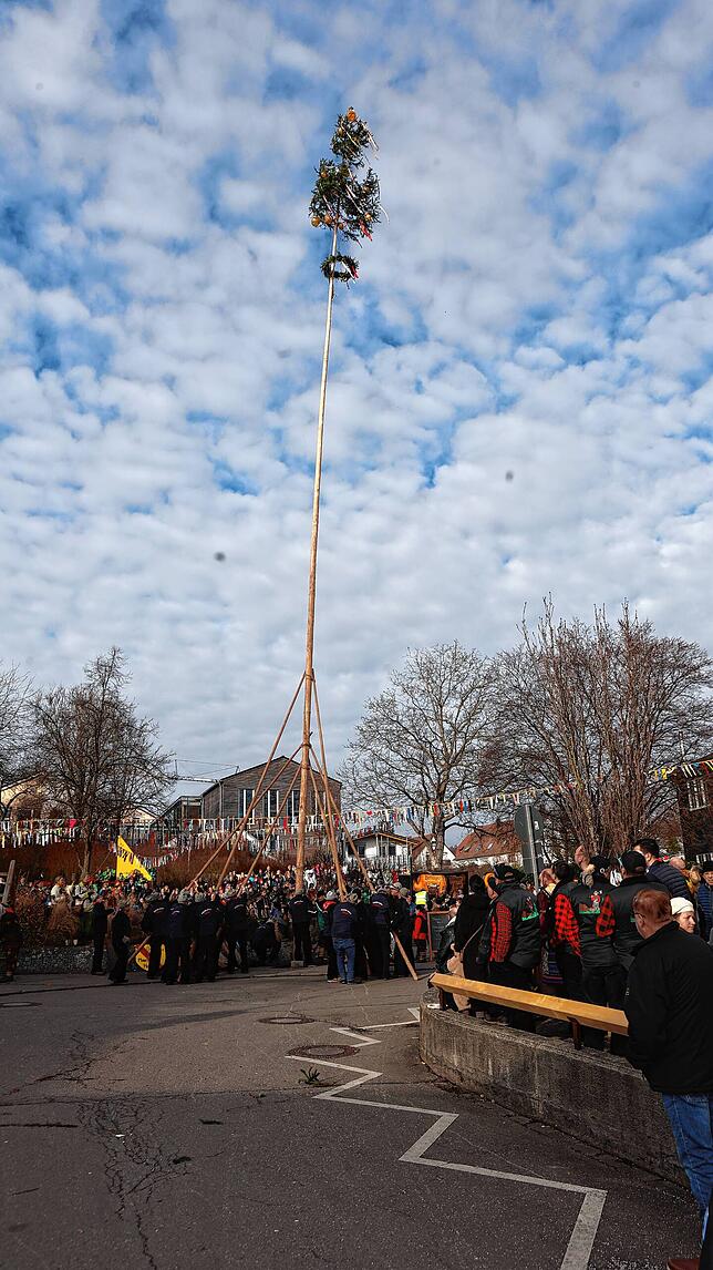 Bild 16: Seenarrentreffen in Dettingen: Auf dem Dorfplatz steht jetzt der Narrenbaum