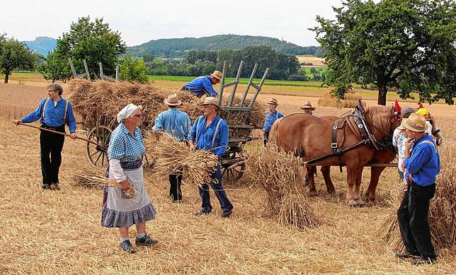 Das historische Mähen zum Auftakt des traditionellen Erntedankfestes Sichelhenke ist jedes Jahr ein besonderer Höhepunkt in Bohlingen.
