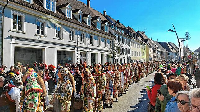 Bild 2: Fasnet 2025: Die besten Bilder vom Umzug in Hüfingen