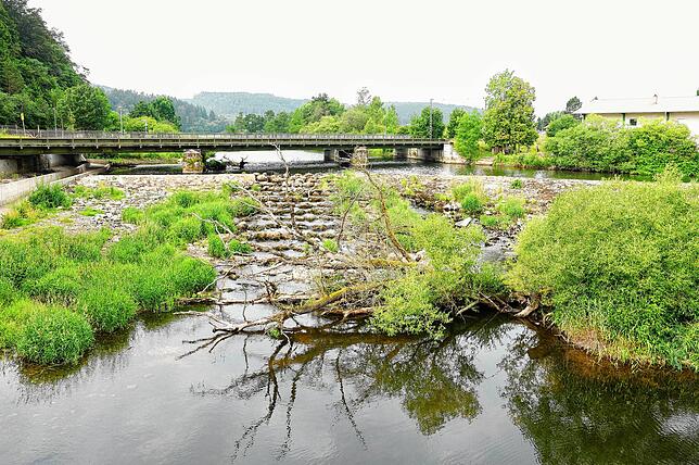 Das Donauwehr.