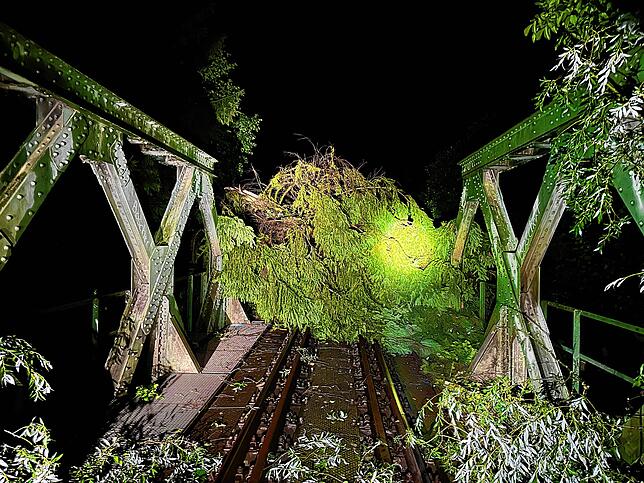 In der Nacht vom 11. auf den 12. Juli lag ein Baum auf den Schienen in Espasingen.